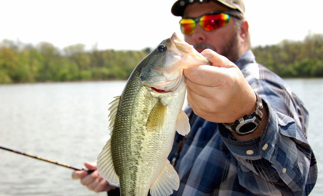 Tips for Catching a Trophy Bass