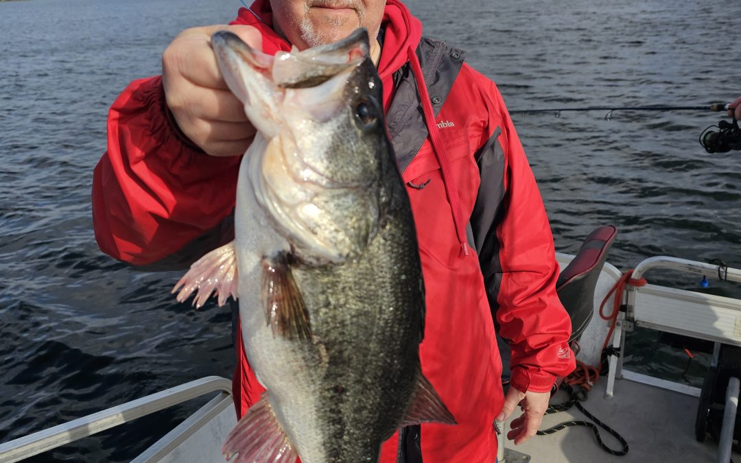 3 Big bass in 4 hr Pontoon trip